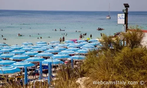 Lido La Pineta beach of Tarquinia